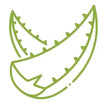 Aloe, Charcoal & Gut Repair