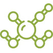 Amino Acids