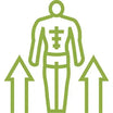 Natural Libido Supplements