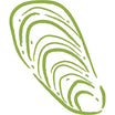 Green Lipped Mussel