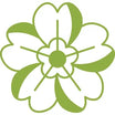 Evening Primrose Oil
