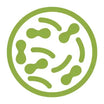 Daily & High Potency Probiotics