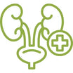 Prostate Health