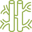 Vein Health